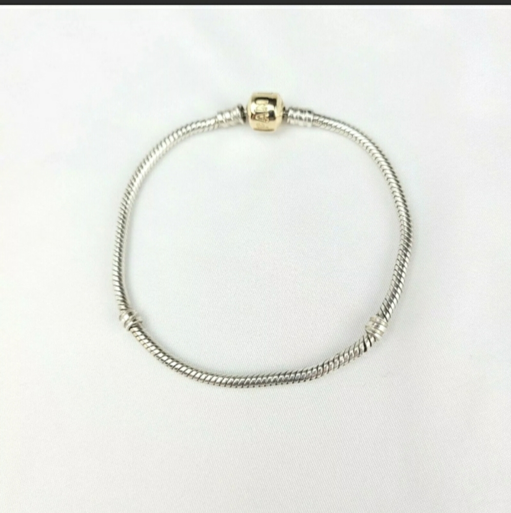 Pandora Bracelet